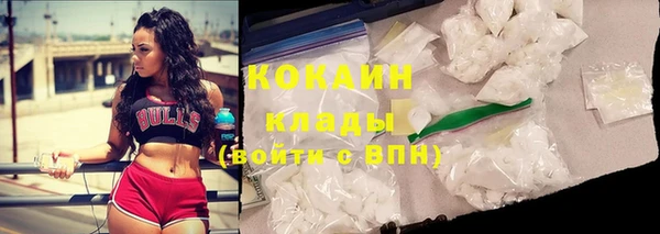 мет Пересвет