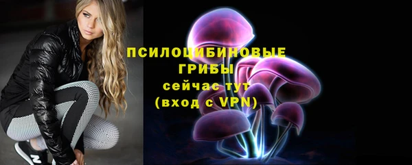 мет Пересвет