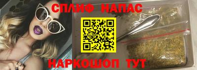 мяу мяу мука Гай