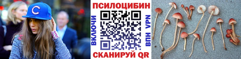 Псилоцибиновые грибы ЛСД сайты даркнета какой сайт Анапа