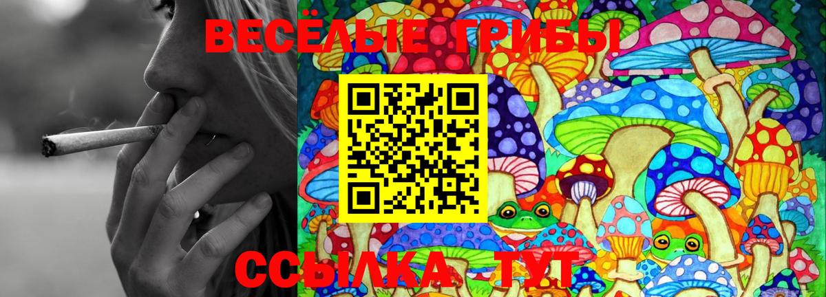 Галлюциногенные грибы мицелий Анапа
