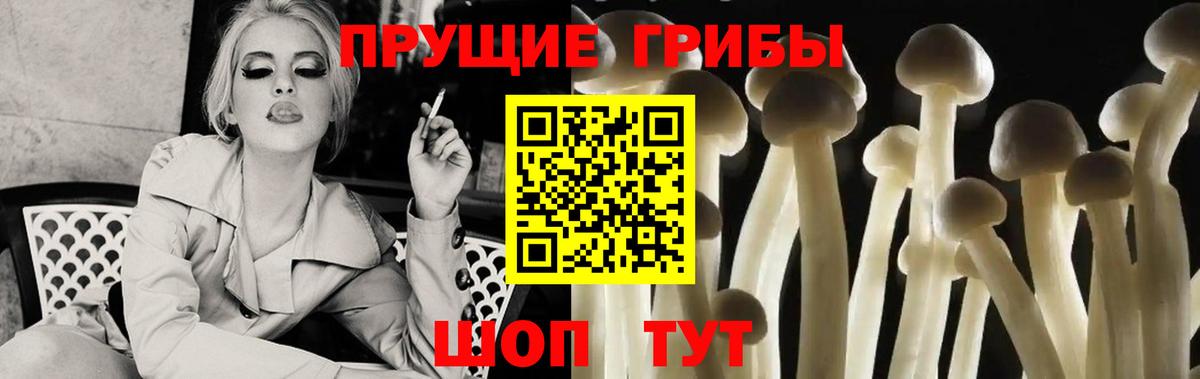 Галлюциногенные грибы ЛСД  дарнет шоп  Анапа 