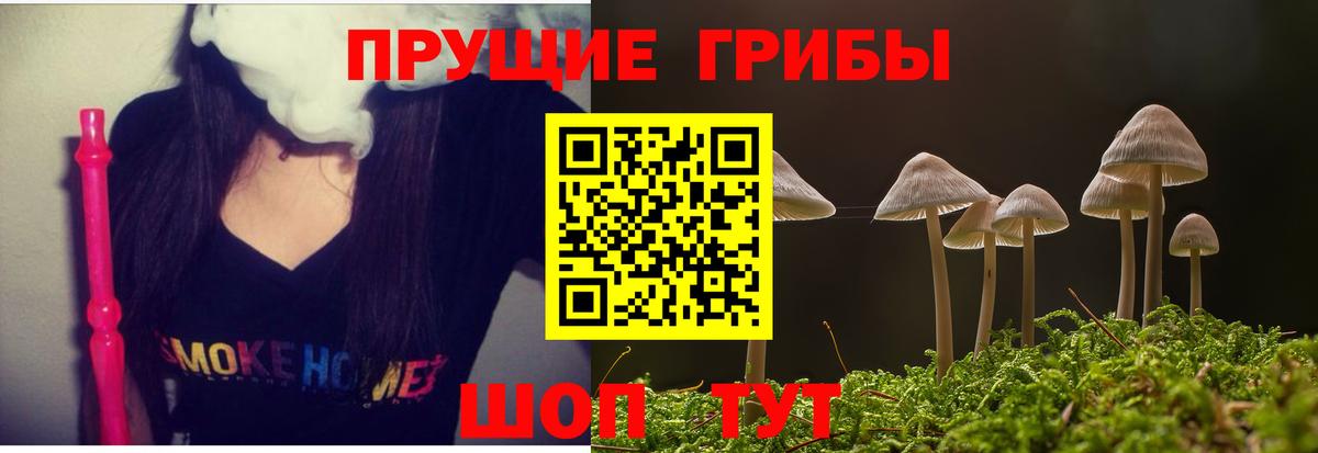 Псилоцибиновые грибы мухоморы Анапа