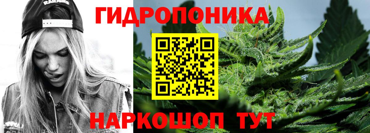 Каннабис сатива  Анапа  Канабис гибрид  МАРИХУАНА план 